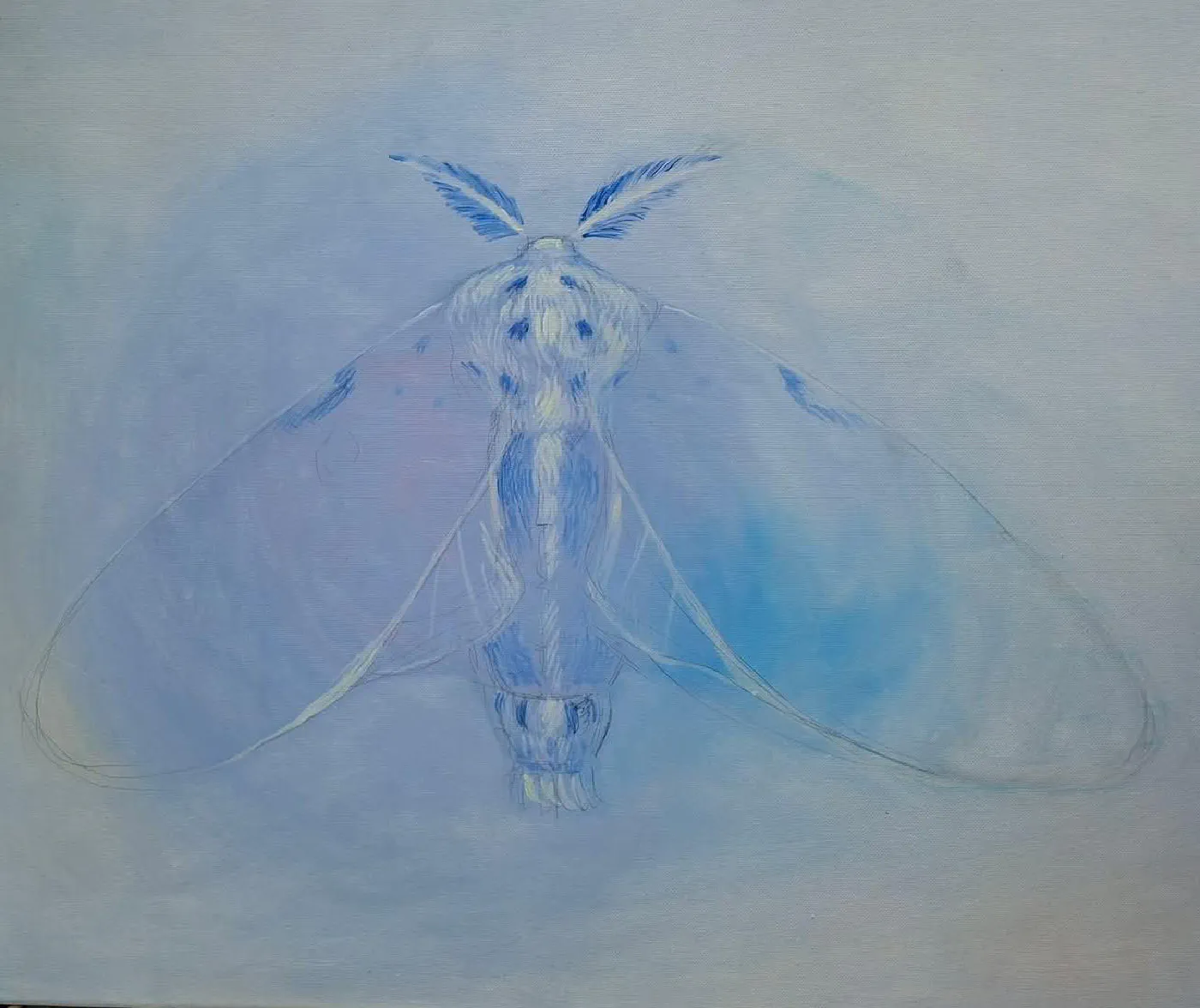 *Moth*, 2026
(oil on canvas)