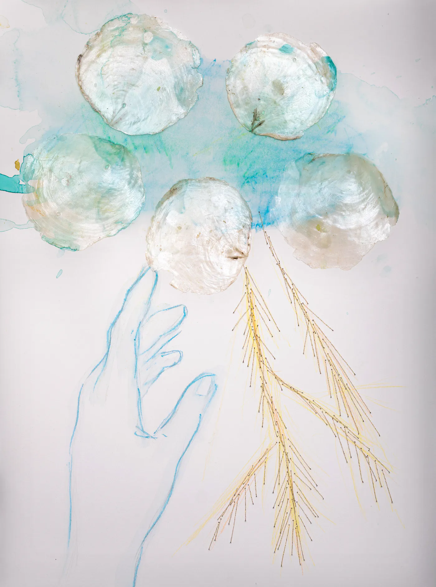 *Doteky vody V*, 2025